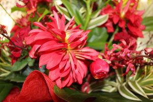 吉高学年カラーのアレンジメントのお花をいただきました