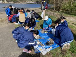 富士山環境保全活動のボランティアを（放送部・数理部生物班）協力して行いました