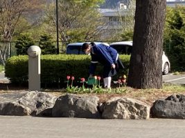 今朝のひとコマ ～グリーンプラン委員会の活動～