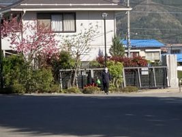 今朝のひとコマ ～グリーンプラン委員会の活動～