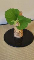 茶道部 お茶会発表会が行われました
