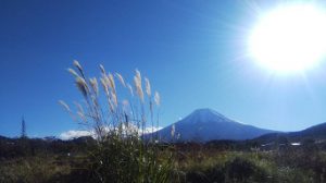 茶道部 夕ざり茶会研修会が開催されました
