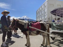 祝 芸術文化祭賞 放送部 朗読部門とオーディオメッセージ部門     優秀賞 アナウンス部門 と ビデオメッセージ部門