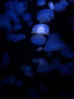 修学旅行2日目Vol.2