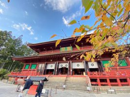 修学旅行が無事に終わりました