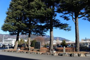 令和４年１月４日(火)新しい年が始まりました