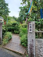 茶道部 夏の茶会研修会が行われました