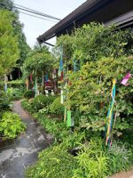 茶道部 夏の茶会研修会が行われました