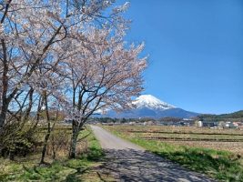 令和５年度 第１回オープンスタディー（２学年・３学年）が行われました。