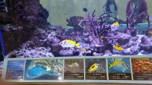 ２年生沖縄修学旅行に出発しました。
