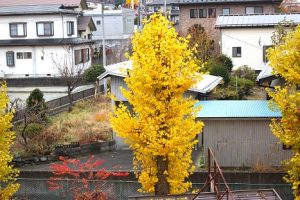 令和５年度１・２年生 試験前OS（オープンスタディー）が行われました。