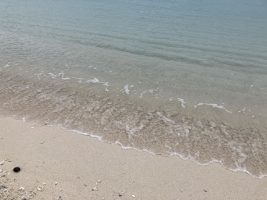 ２学年修学旅行２日目の様子です。
