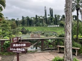 ２学年修学旅行３日目の様子です。