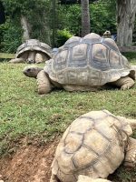 ２学年修学旅行３日目の様子です。