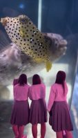 ２学年修学旅行３日目の様子です。