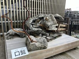 ２学年修学旅行最終日の様子です。