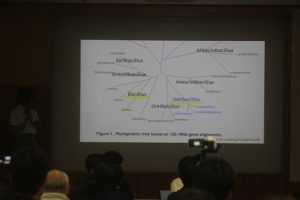 令和７年度理数科　理数探究発表会が行われました。