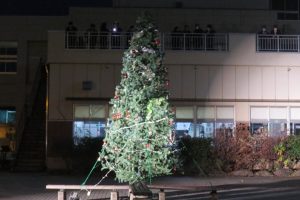 🎄吉高の伝統行事「クリスマスツリー点灯式」が行われました🎄