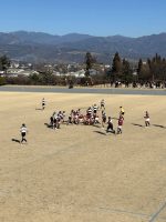 週末の部活動結果報告です。