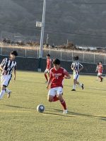 週末の部活動結果報告です。